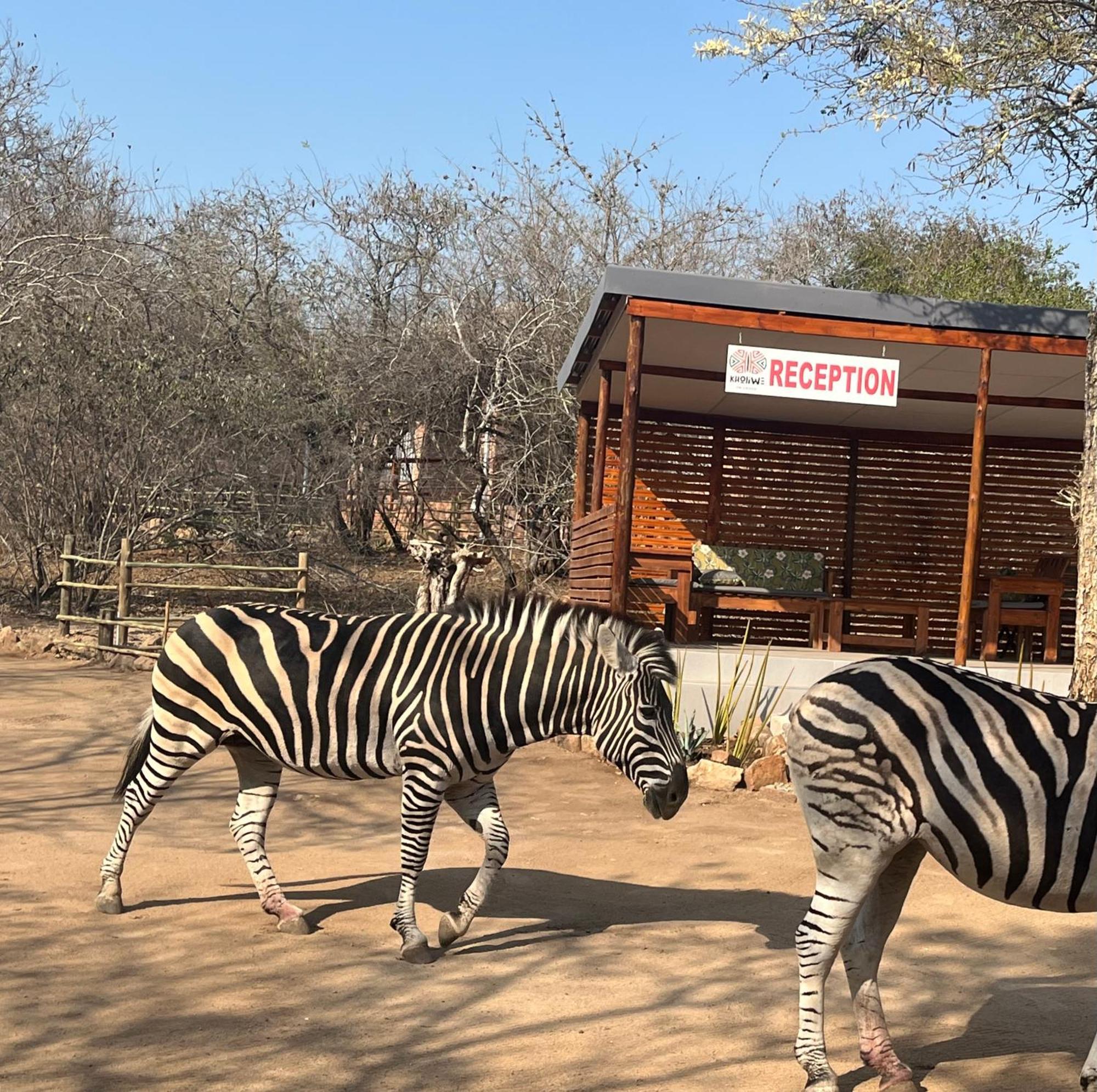 Kholiwe On Kruger Lodge & Safaris Marloth Park Esterno foto