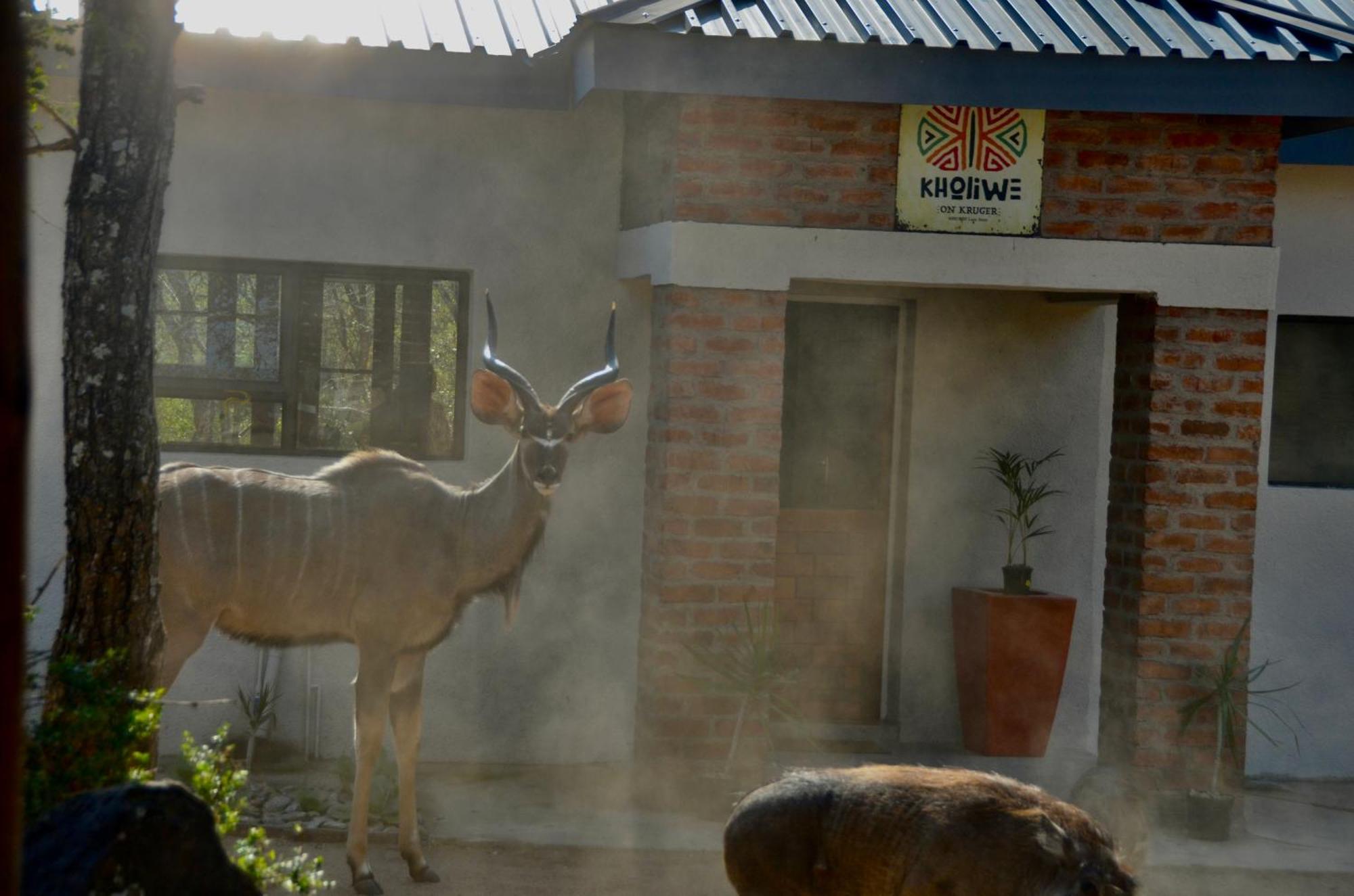 Kholiwe On Kruger Lodge & Safaris Marloth Park Esterno foto