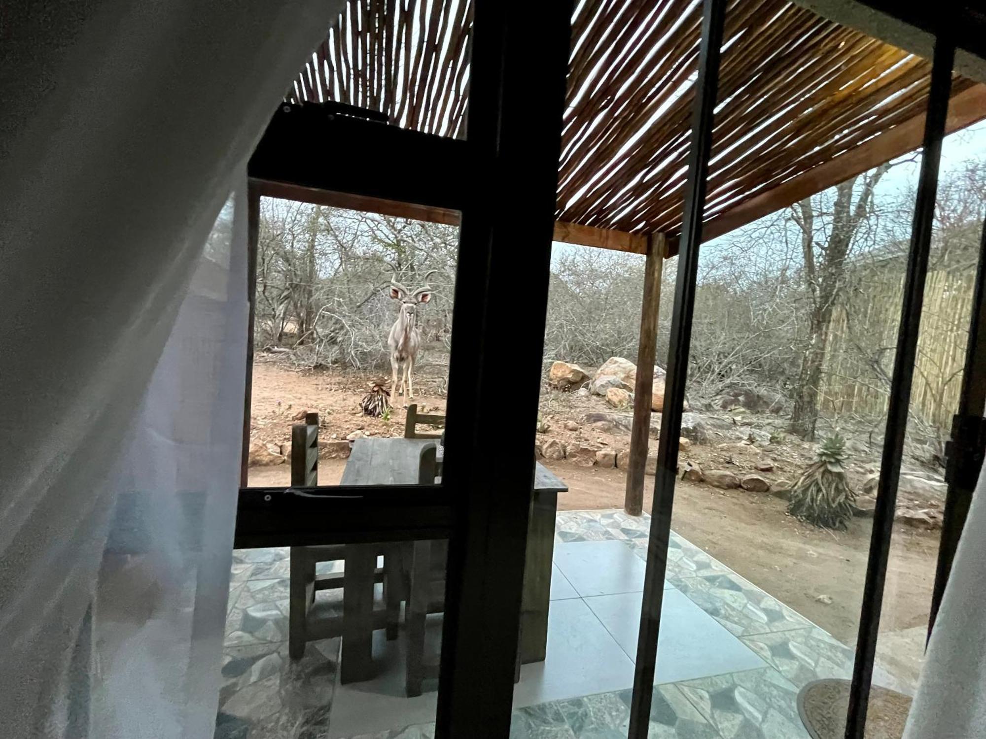 Kholiwe On Kruger Lodge & Safaris Marloth Park Esterno foto