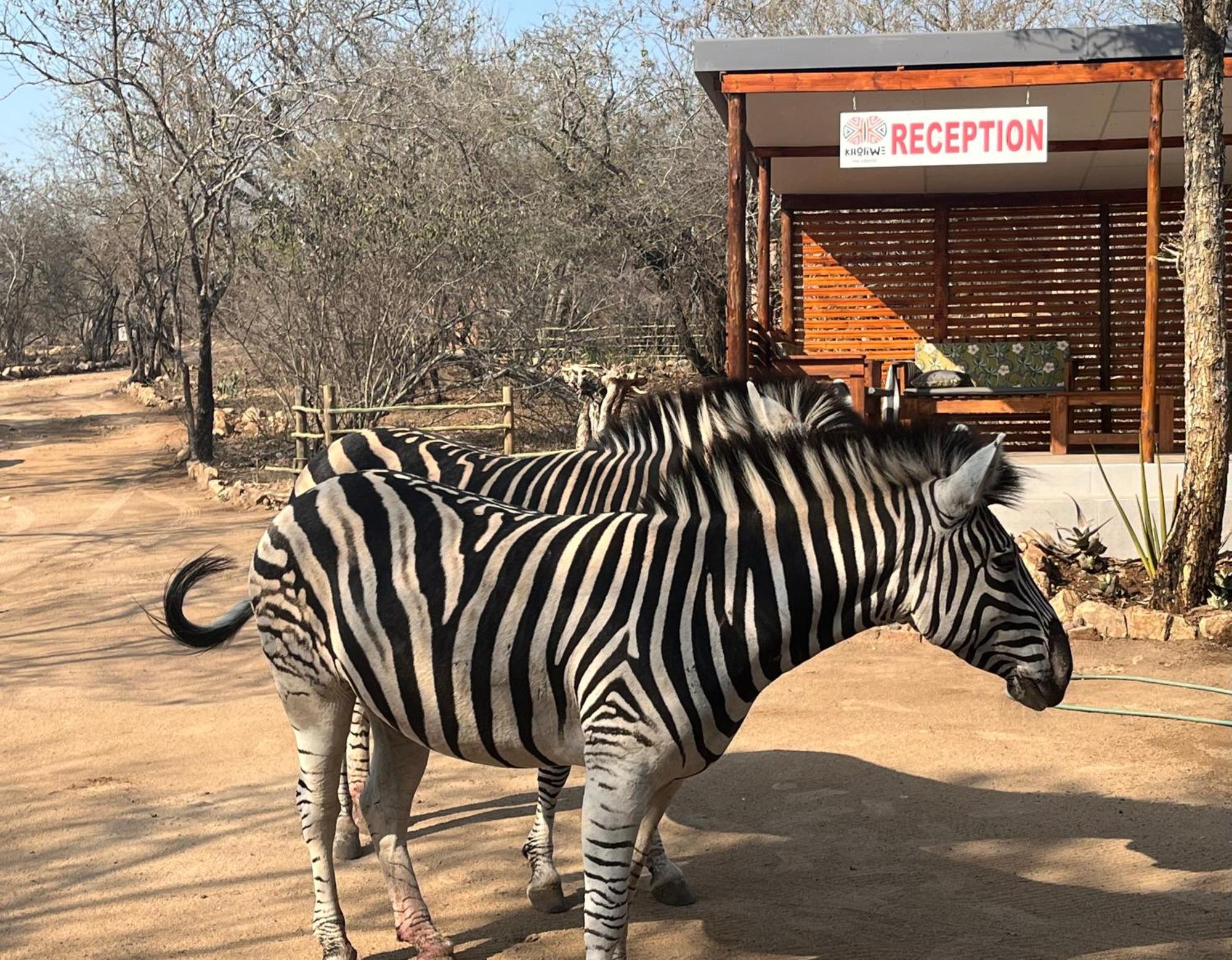 Kholiwe On Kruger Lodge & Safaris Marloth Park Esterno foto