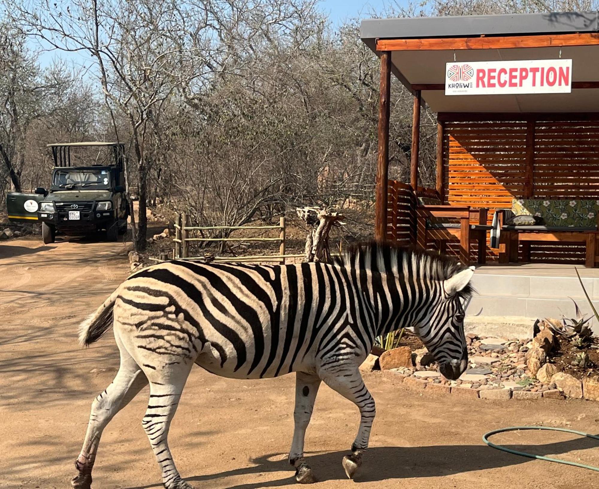 Kholiwe On Kruger Lodge & Safaris Marloth Park Esterno foto