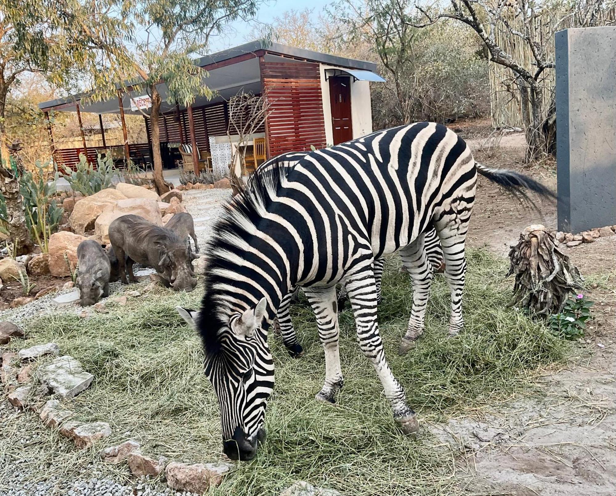 Kholiwe On Kruger Lodge & Safaris Marloth Park Esterno foto