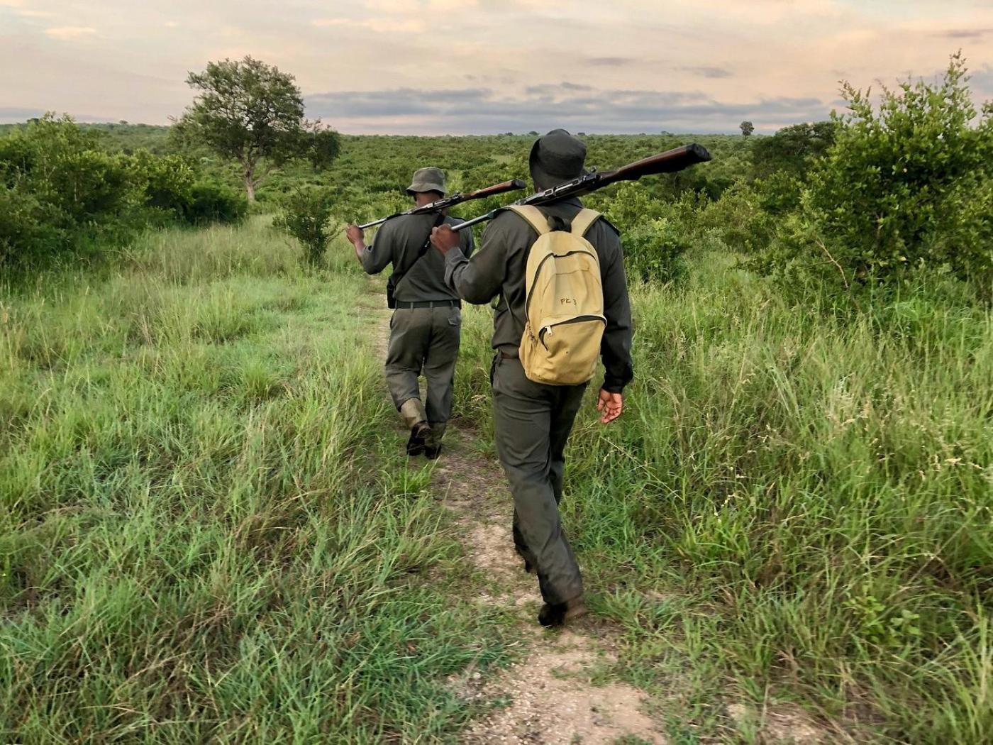 Kholiwe On Kruger Lodge & Safaris Marloth Park Esterno foto