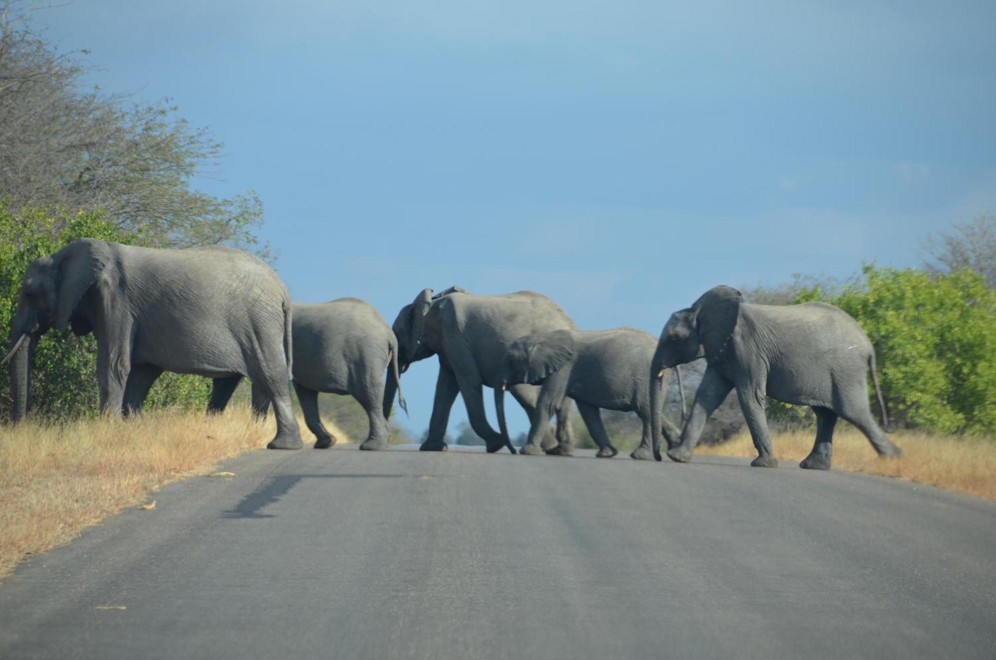 Kholiwe On Kruger Lodge & Safaris Marloth Park Esterno foto